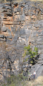 of dolomite and limestone
